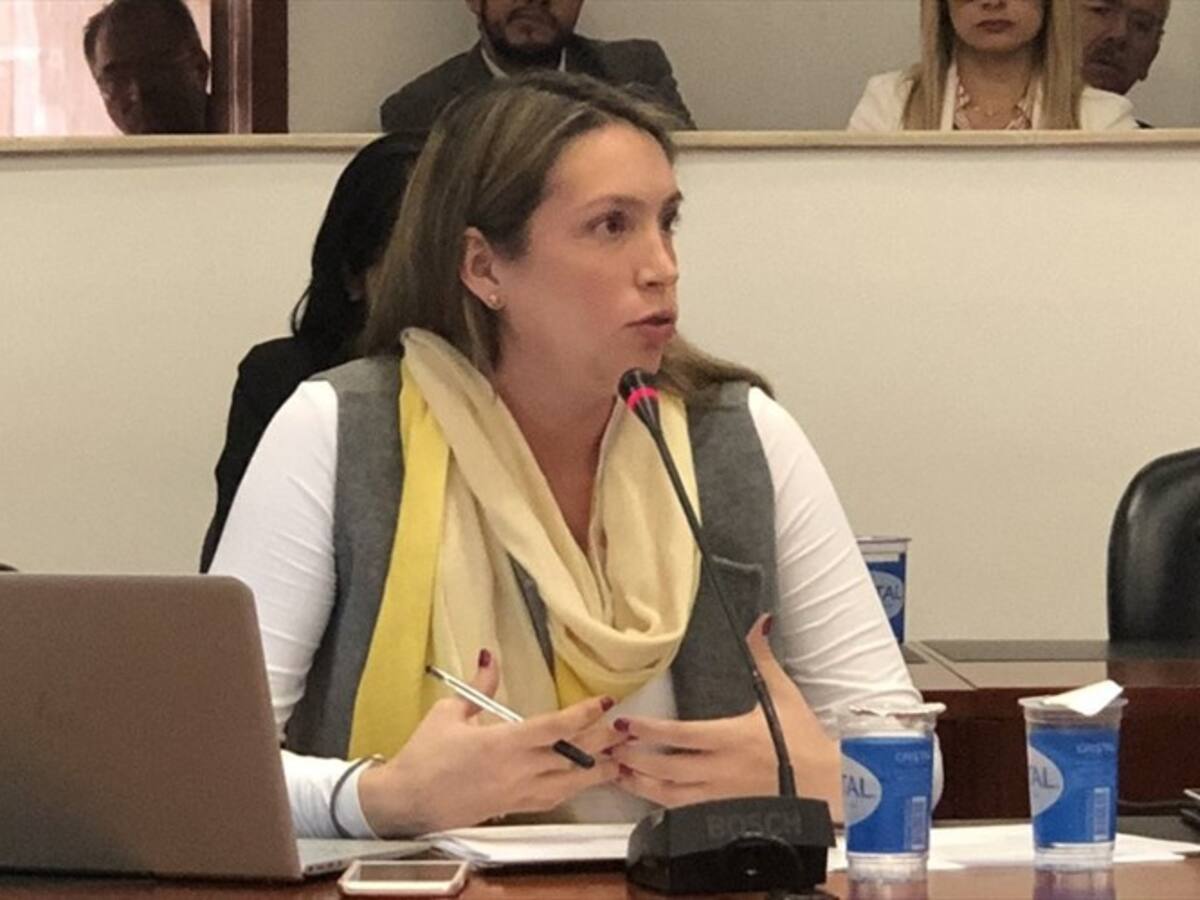 Terna es un fraude, no fue producto de consenso: Sara Piedrahita Lyons