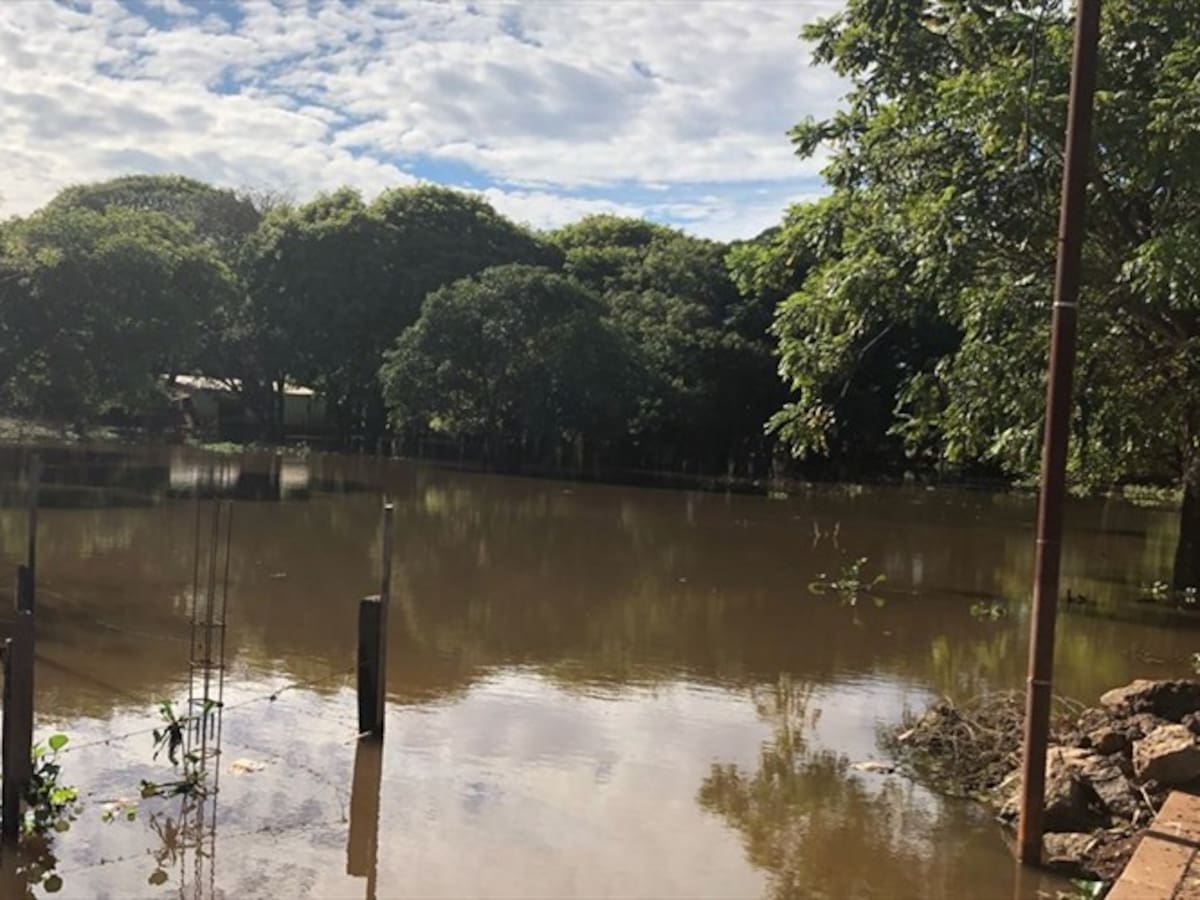 Las irregularidades tras el alcantarillado de Puerto Carreño