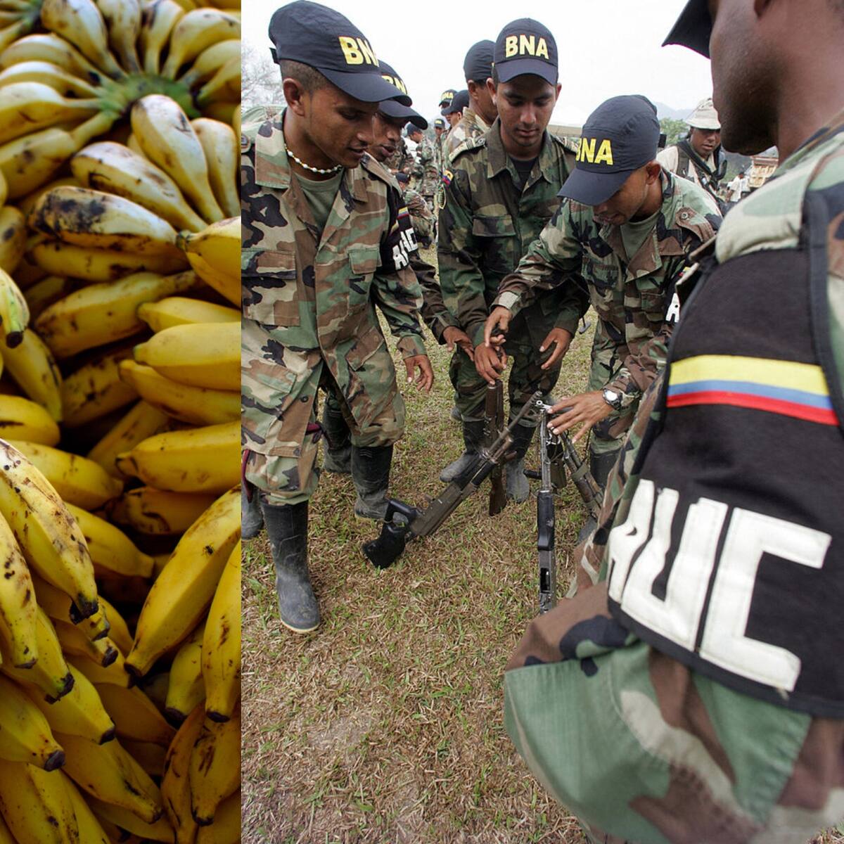 Se negó a vender la tierra y lo mataron: víctima de los “paras” y denunciante de Chiquita