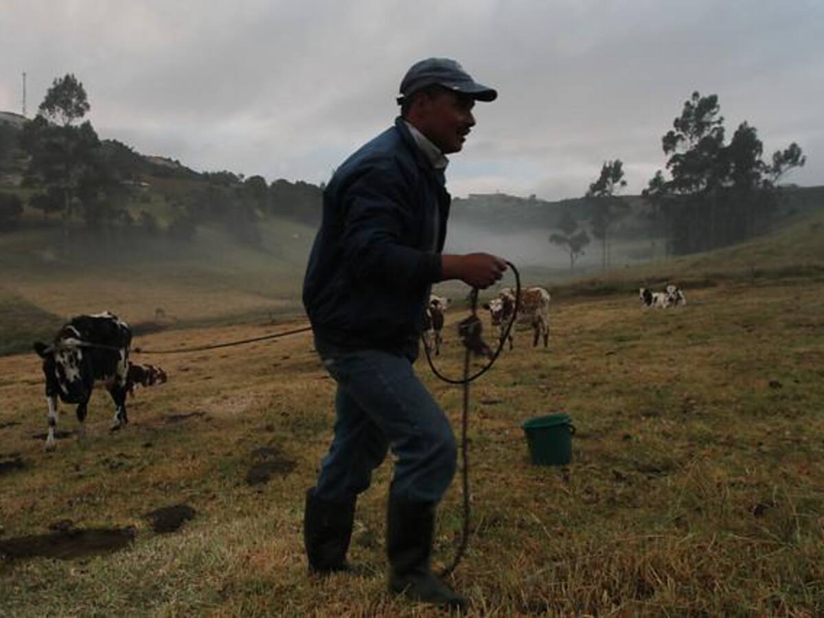 Boyacá: En Toca más de 300 productores agrícolas con afectaciones por heladas