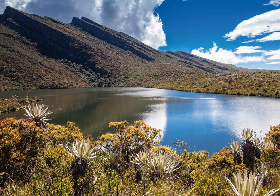Preservar la riqueza hídrica del país es Orgullo Colombia