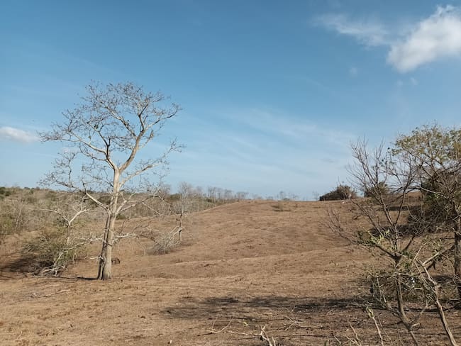 Sequía en zona rural de Puerto Escondido, Córdoba. Foto: La W/Claudia Hernández.