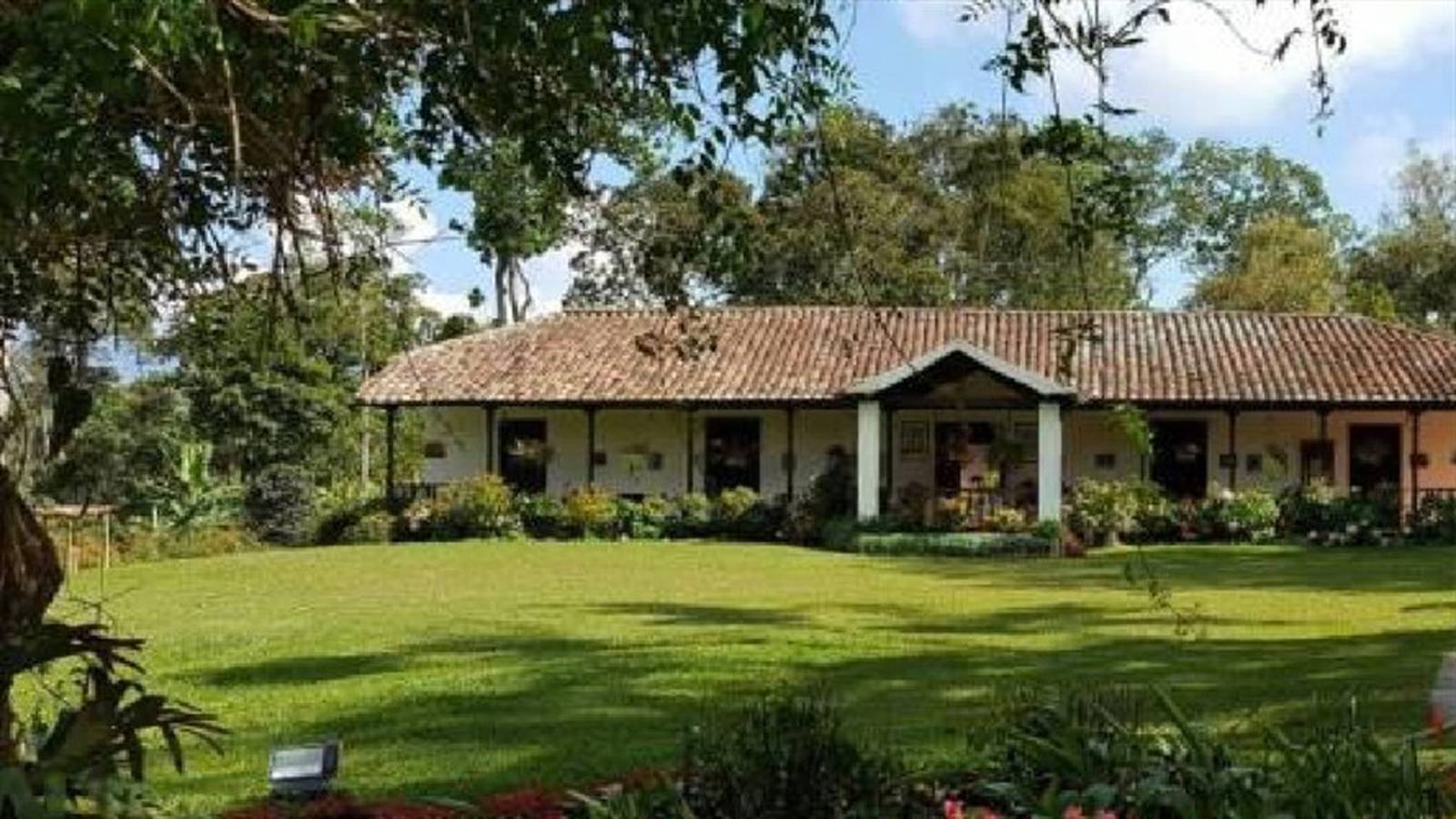 Hacienda El que produce café Mesa de Los Santos, entre mejores del mundo