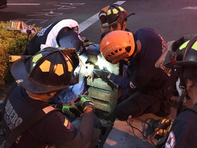 Cinco bomberos y dos paramédicos se desplazaron al sitio para realizar una operación especial. Foto: Bomberos