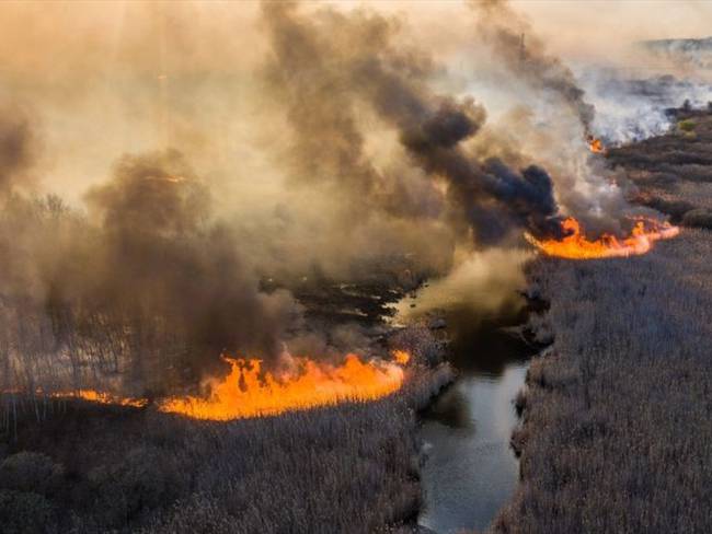 Preocupación en Chernóbil por incendios forestales cercanos a residuos radioactivos. Foto: Getty Images
