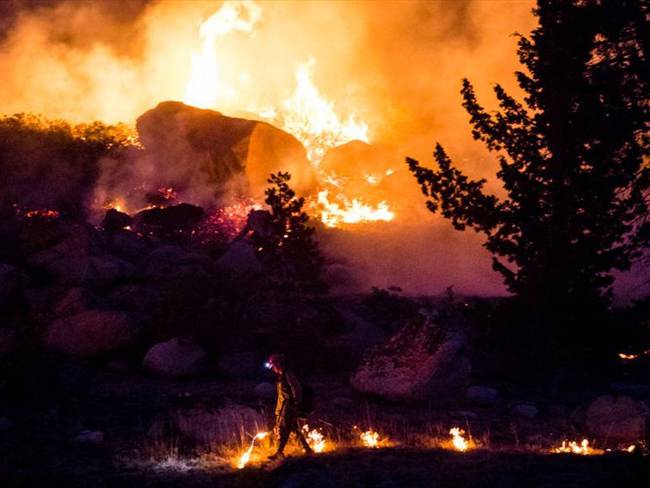 Joe Biden declara estado de desastre en California por incendios forestales. Foto: (Photo by Ty O&#039;Neil/SOPA Images/LightRocket via Getty Images)