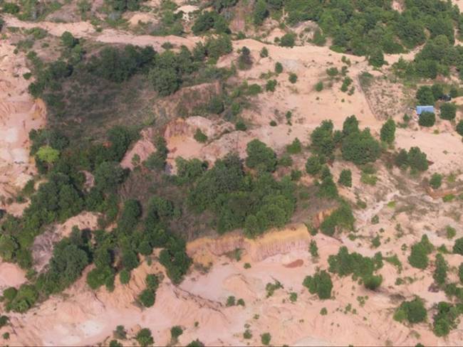 Los seis capturados son considerados como responsables de la tala de árboles en el Parque Natural, al menos, 353 hectáreas.. Foto: Fiscalía General de la Nación